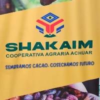 Group Profile Picture